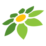 AUTODRAW ANIME